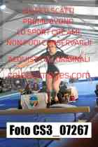 CS3_07267-