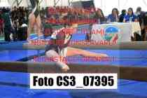 CS3_07395-
