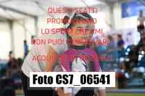 CS7_06541-