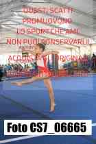 CS7_06665-