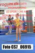 CS7_06915-