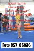 CS7_06936-