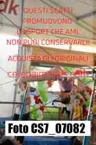 CS7_07082-