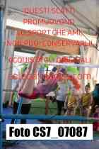 CS7_07087-