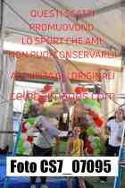 CS7_07095-
