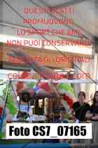 CS7_07165-