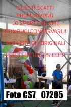 CS7_07205-