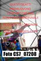 CS7_07208-