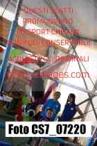 CS7_07220-