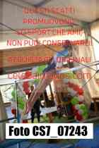 CS7_07243-