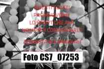 CS7_07253-