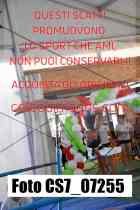 CS7_07255-