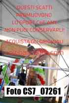 CS7_07261-