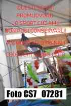 CS7_07281-