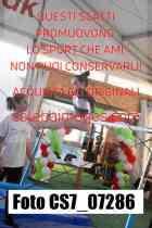 CS7_07286-
