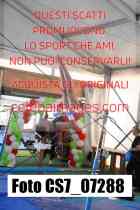 CS7_07288-