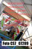 CS7_07289-