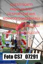 CS7_07291-