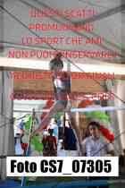 CS7_07305-