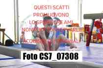 CS7_07308-