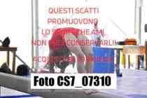 CS7_07310-