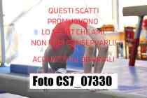 CS7_07330-
