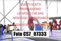 CS7_07333-