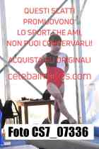 CS7_07336-