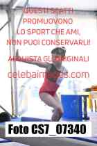 CS7_07340-