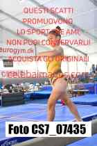 CS7_07435-