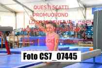 CS7_07445-