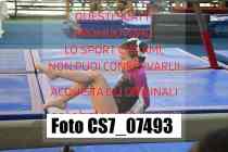 CS7_07493-