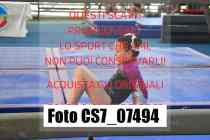 CS7_07494-