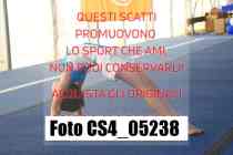 CS4_05238-