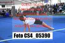 CS4_05390-