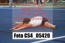 CS4_05420-