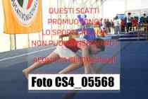 CS4_05568-