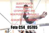 CS4_05785-