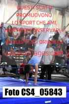 CS4_05843-