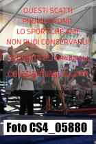 CS4_05880-