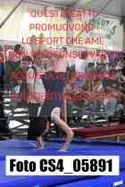 CS4_05891-