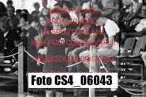 CS4_06043-