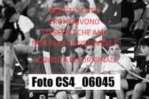CS4_06045-