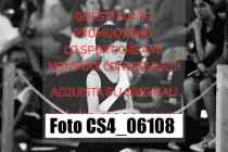 CS4_06108-