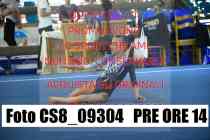 CS8_09304-PRE-ORE-14