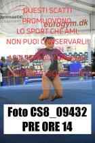 CS8_09432-PRE-ORE-14