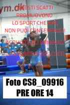 CS8_09916-PRE-ORE-14