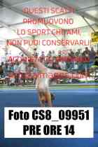 CS8_09951-PRE-ORE-14
