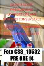 CS8_10532-PRE-ORE-14