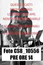 CS8_10556-PRE-ORE-14